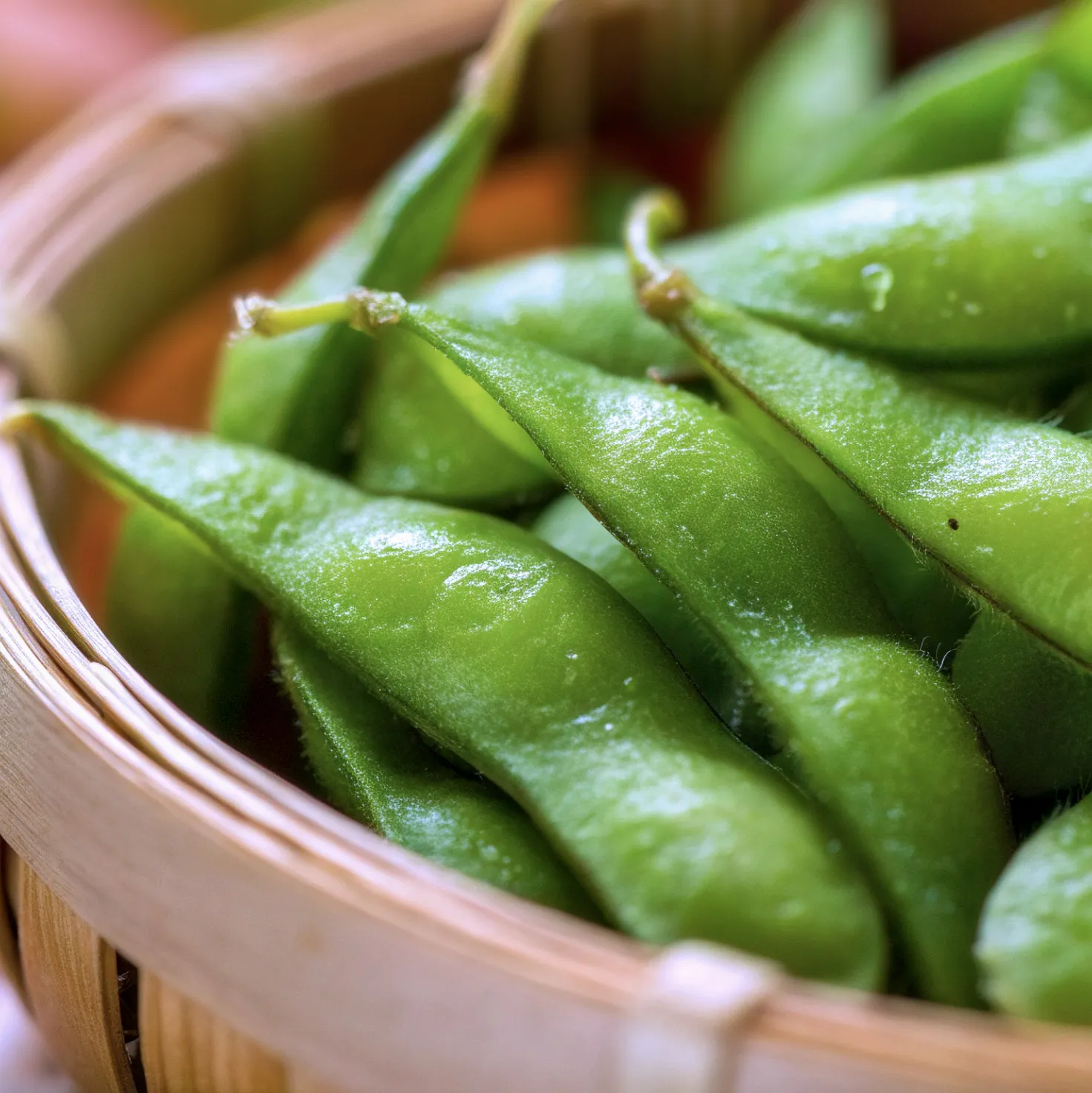 メニュー イメージ